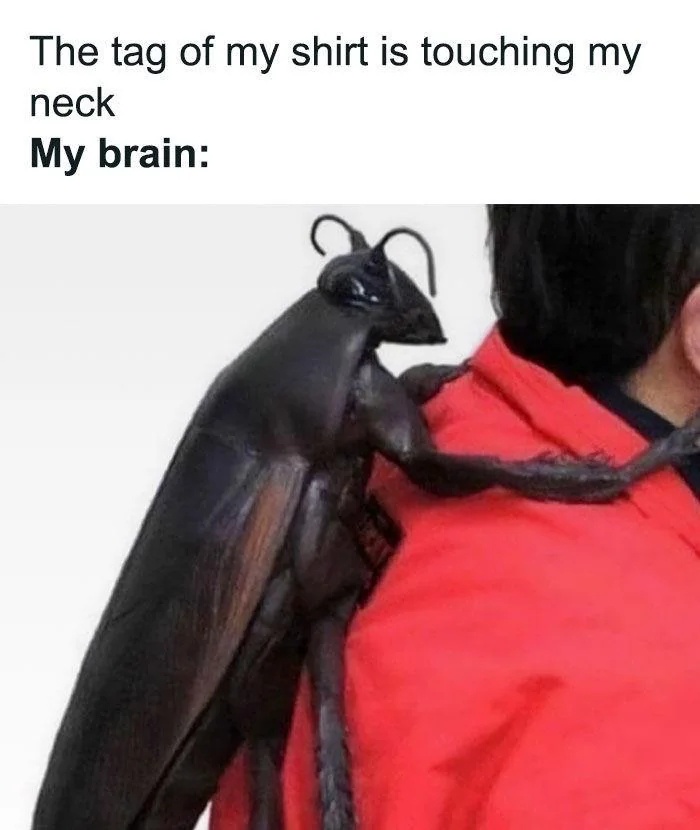 Meme 61: The One You Didn't Know You Needed