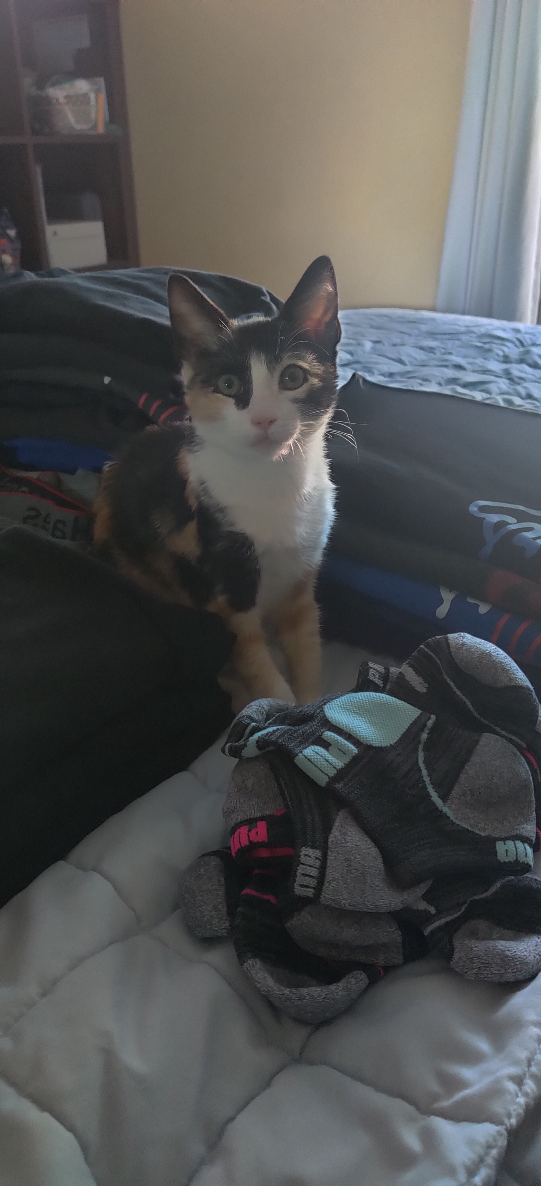 I finally got some help!