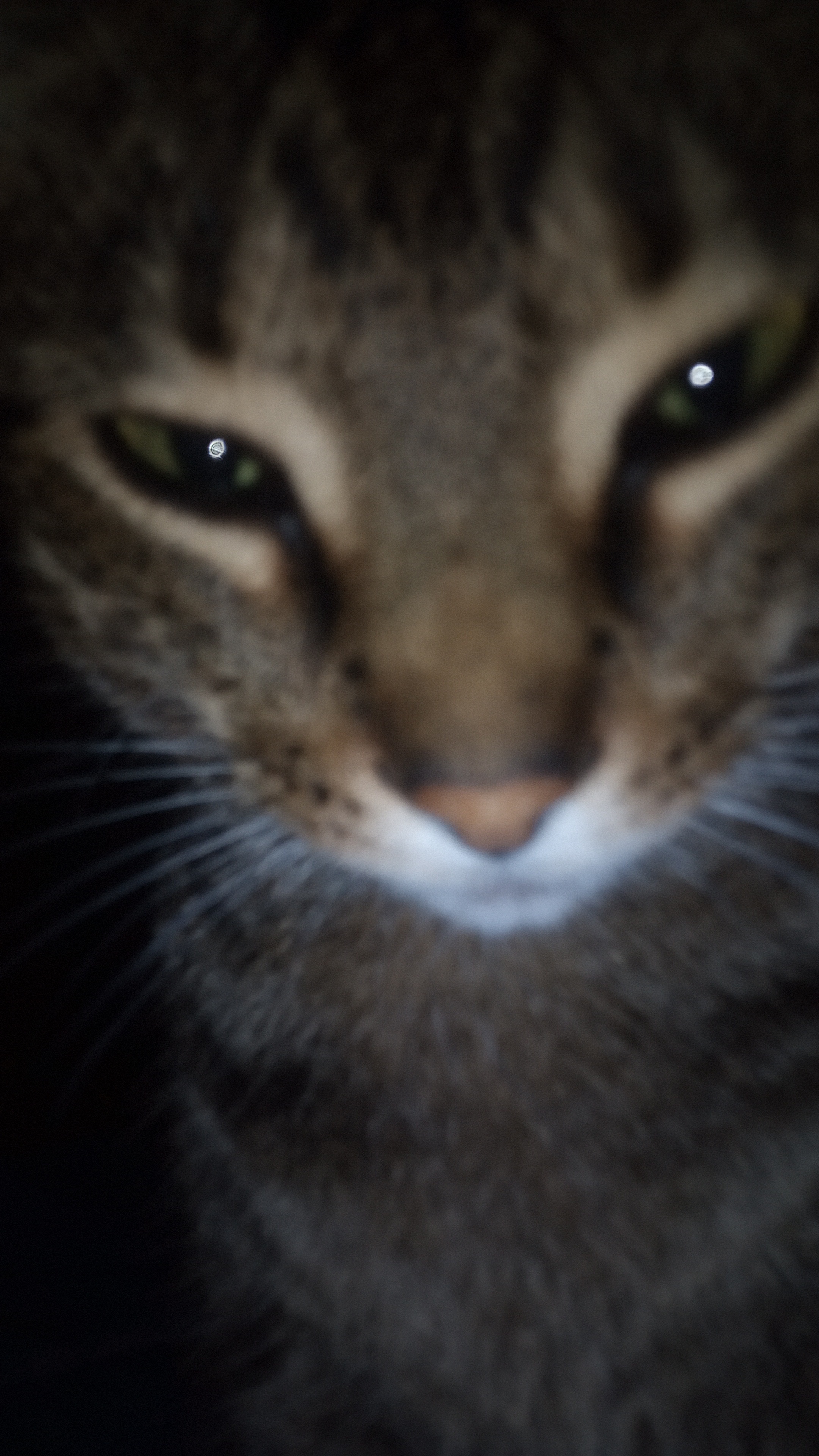 Hey, Are You Still Up and About?