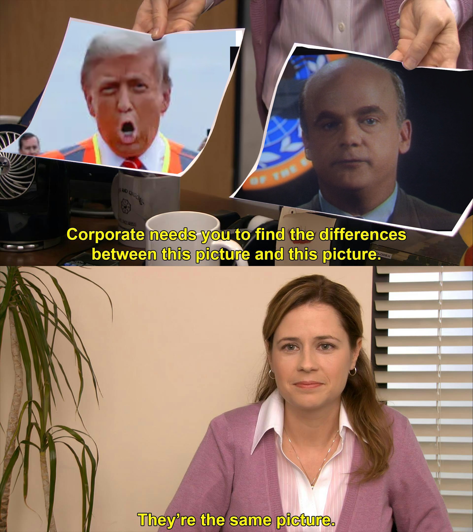 Can You Spot the Difference?