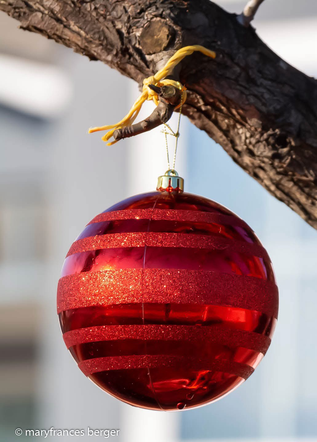 A Festive Ornament to Brighten Your Day