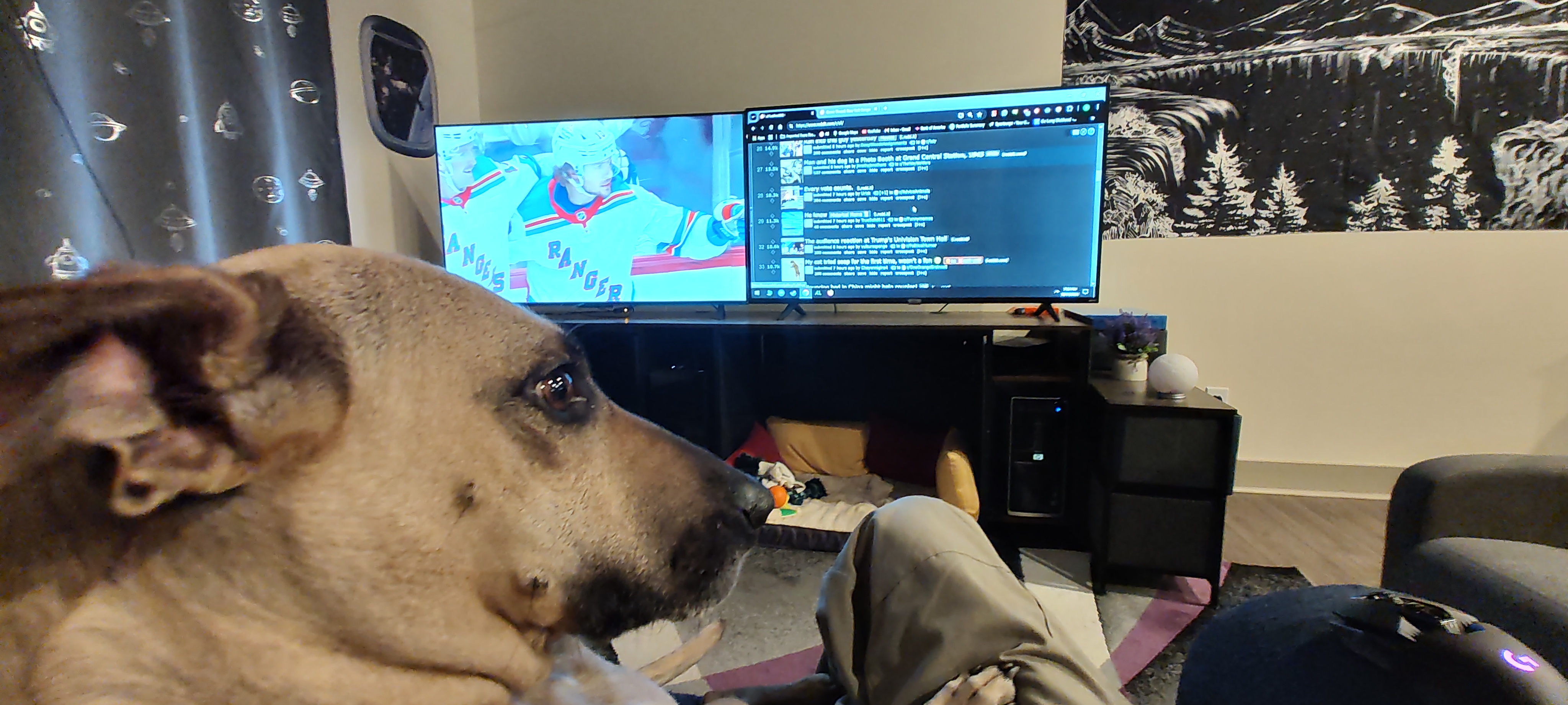 Intermission featuring Maggie!