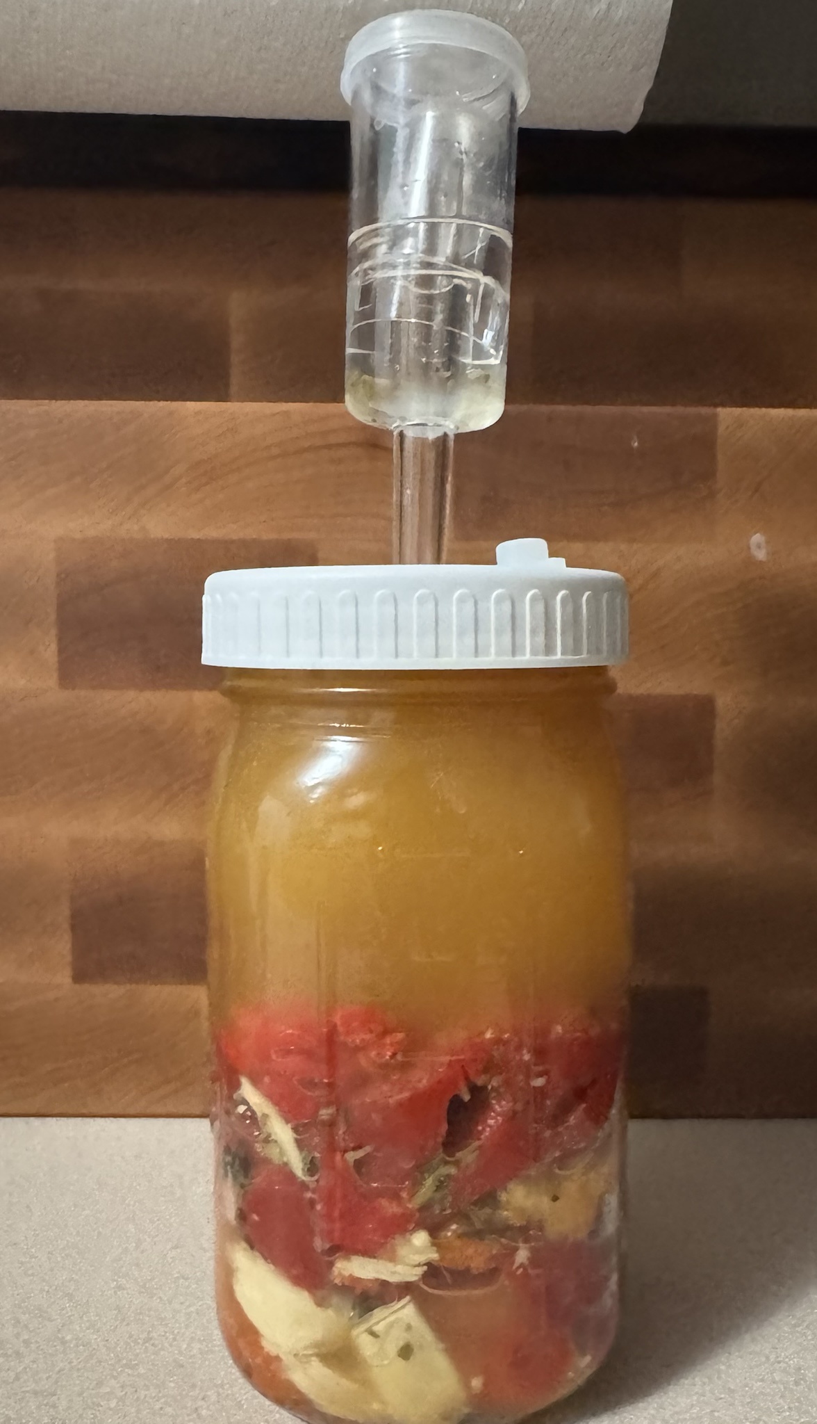 Surviving Day 8 with Fermented Carolina Reaper Hot Sauce