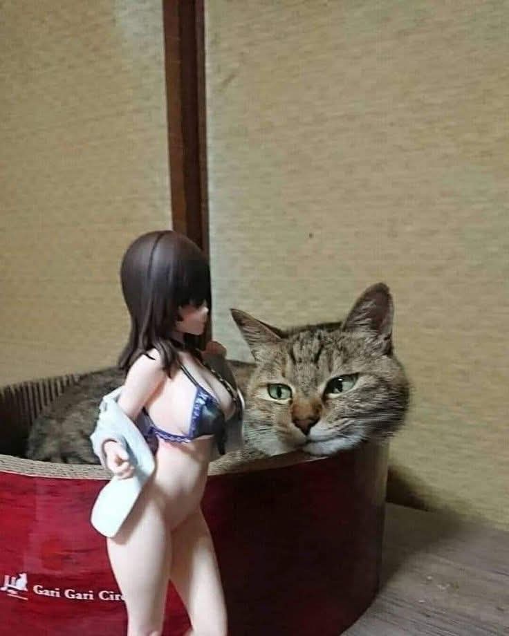 When Pets Start to Mirror Their Owners' Quirks