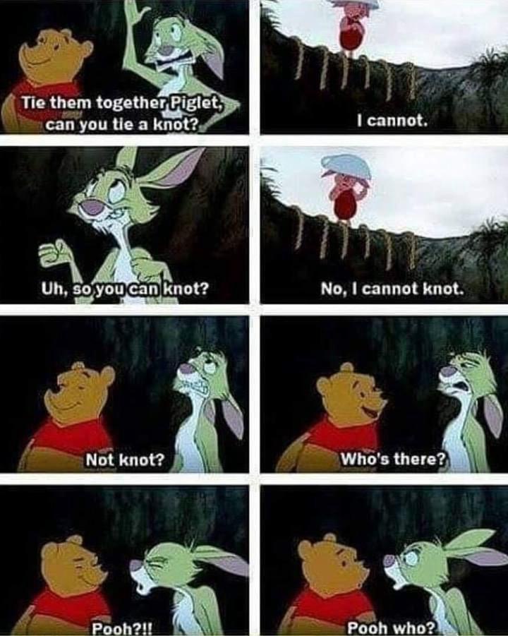 A Collection of Memes and Mischief