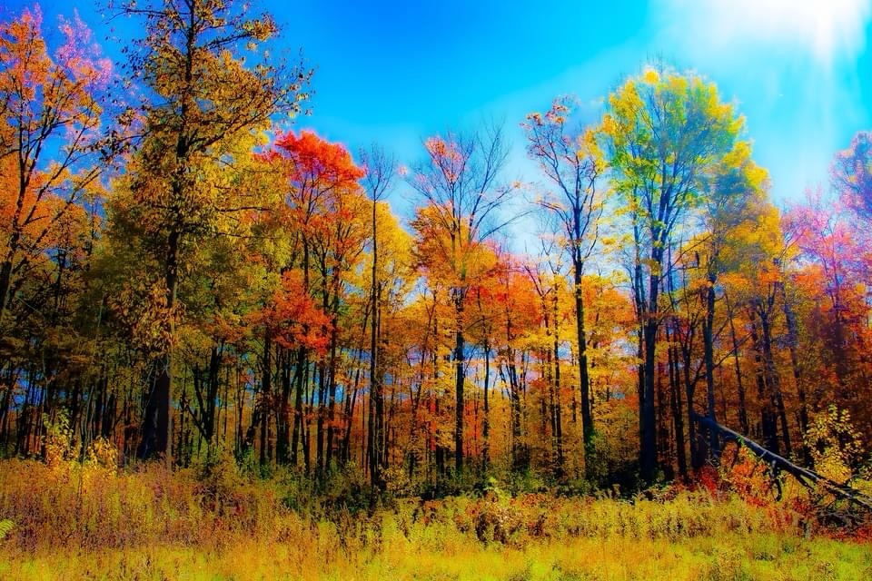 Embracing the Beauty of Autumn