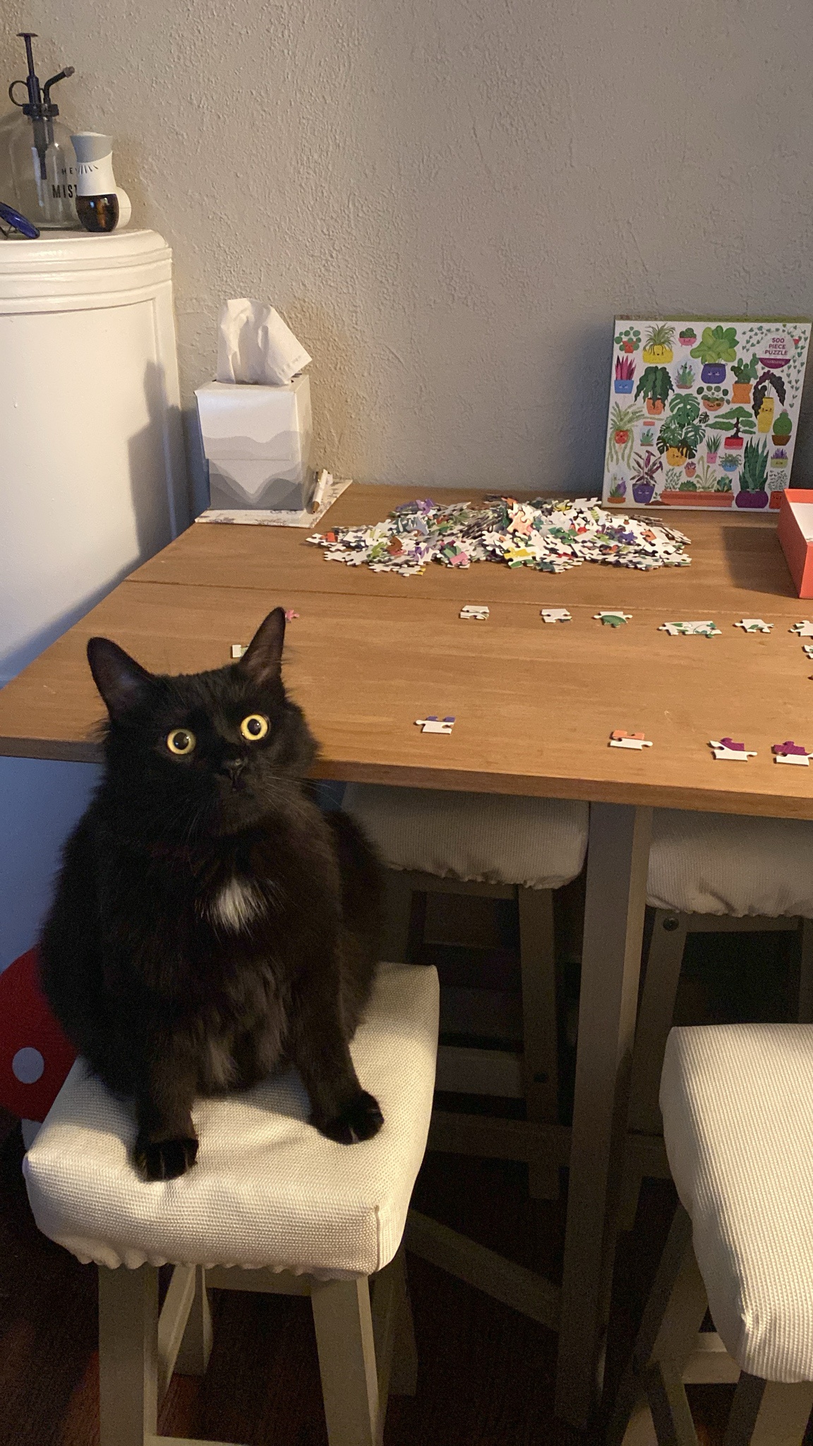 This behavior is truly puzzling!