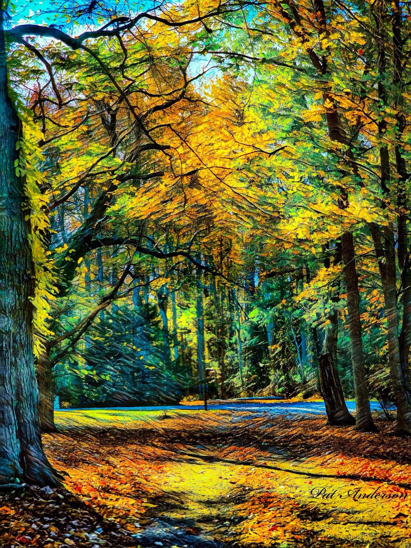 The Beauty of Autumn Unveiled