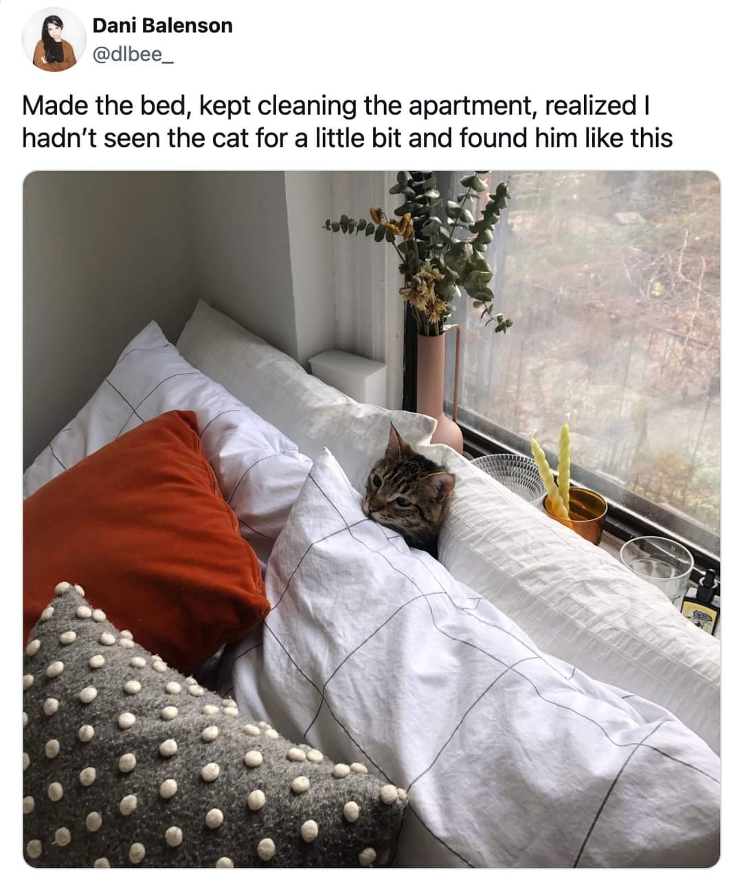 Embracing the Cozy Vibes