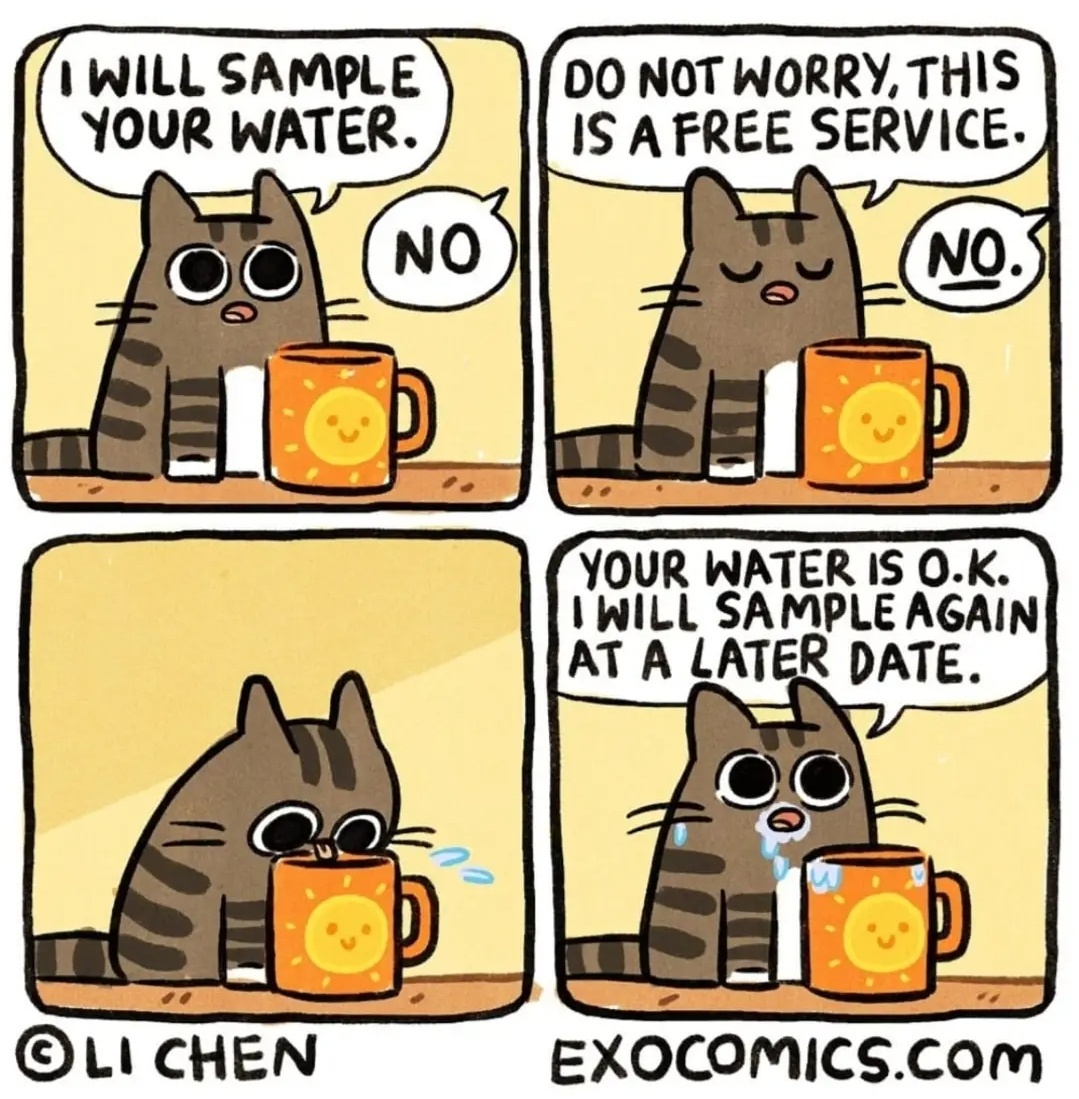 A Hilarious Mix of Stolen Memes to Keep You Entertained