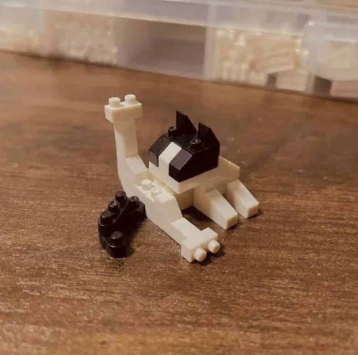 Just a Simple Meow