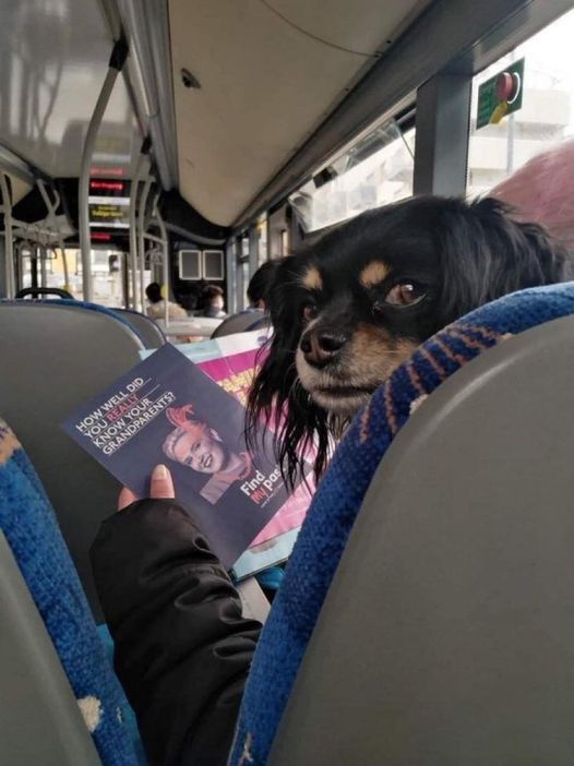 He was not happy after you kicked the back of his seat!