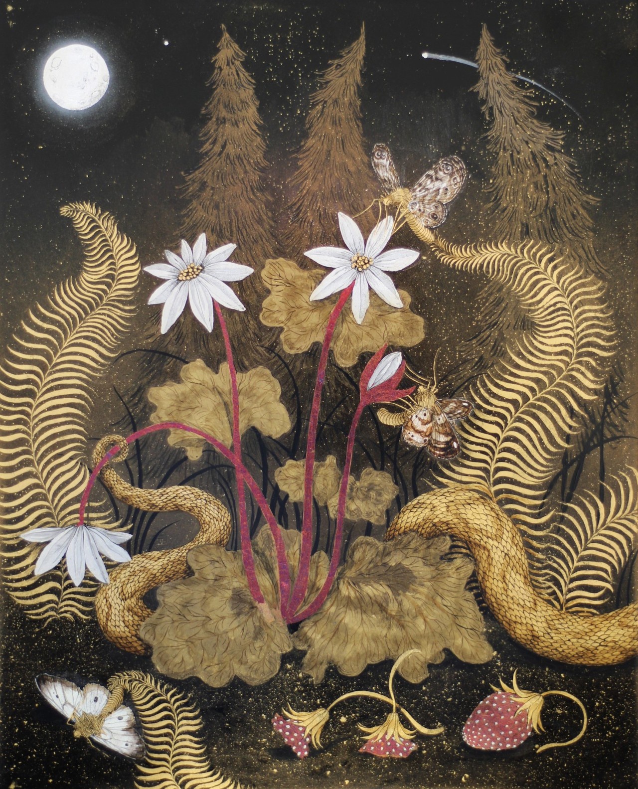 Tuesday Riddell's Stunning Blood Root Artwork (2023)