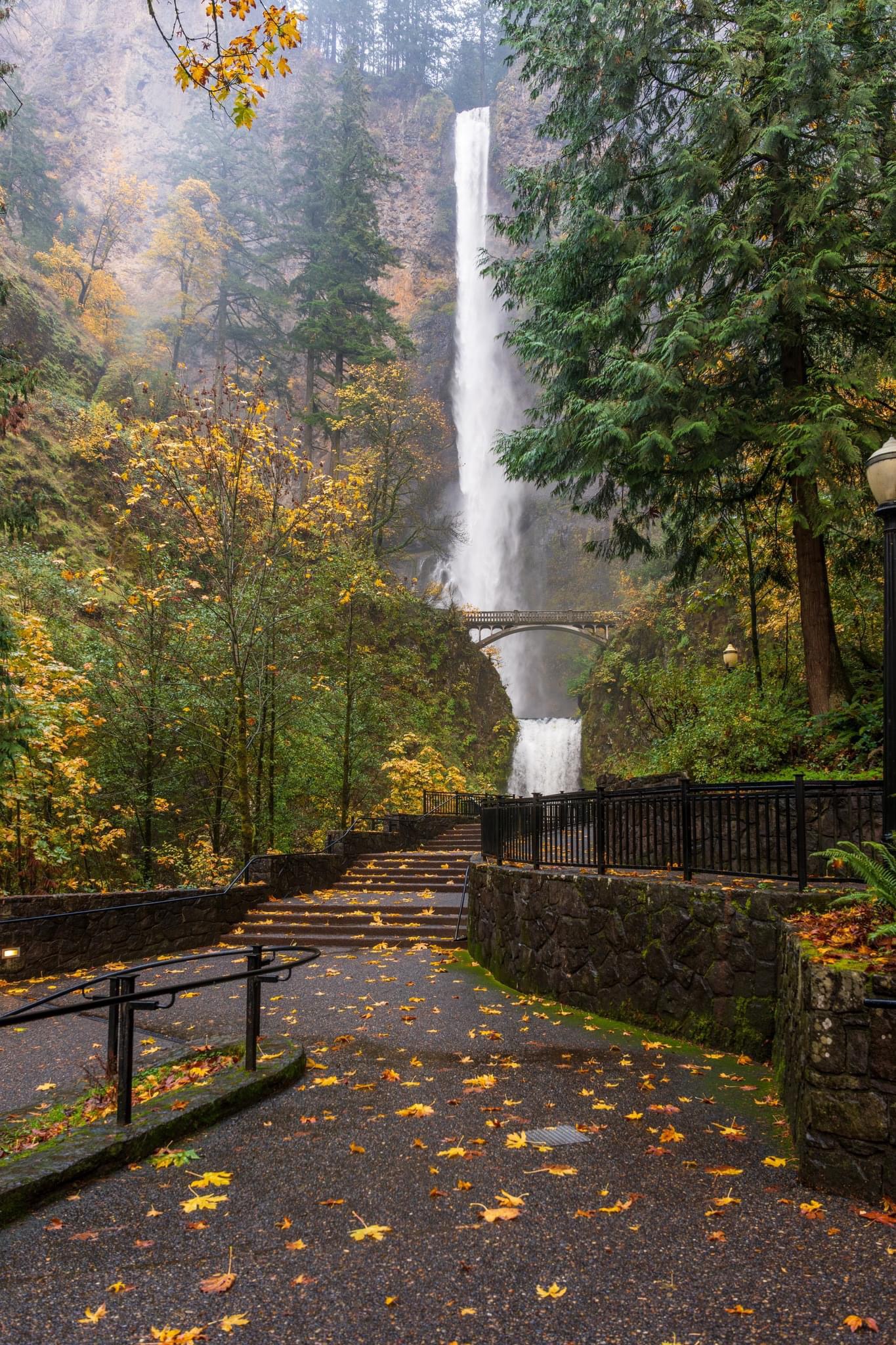 The Majestic Beauty of Multnomah Falls
