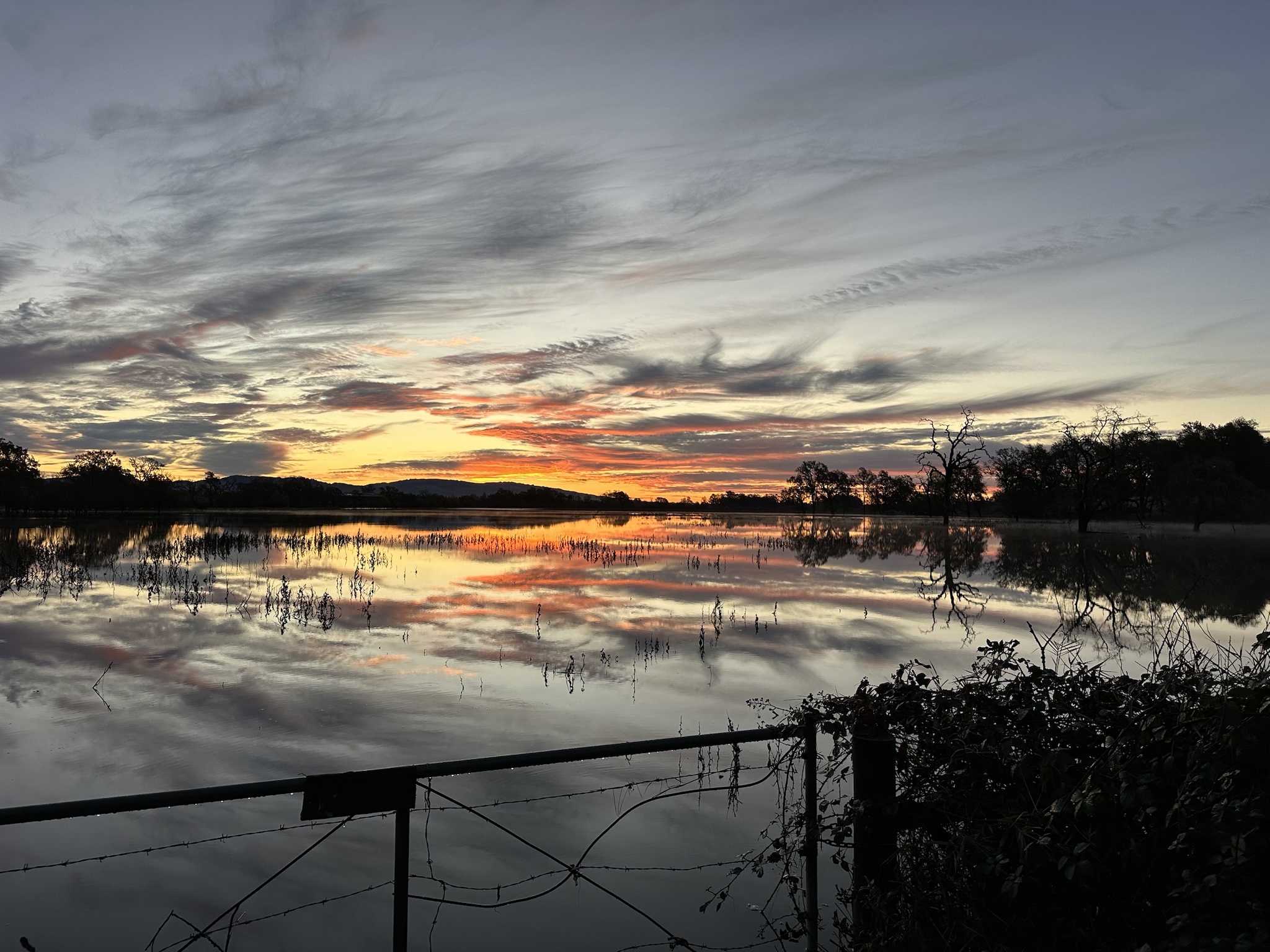 A Pasture Submerged: The Aftermath of the Flood