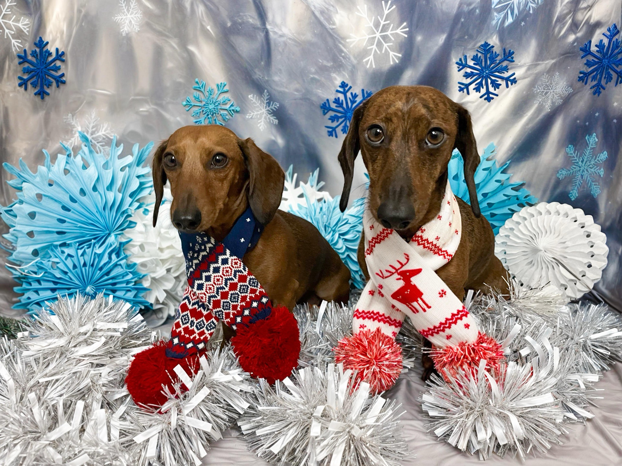Season's Greetings from the Crew!