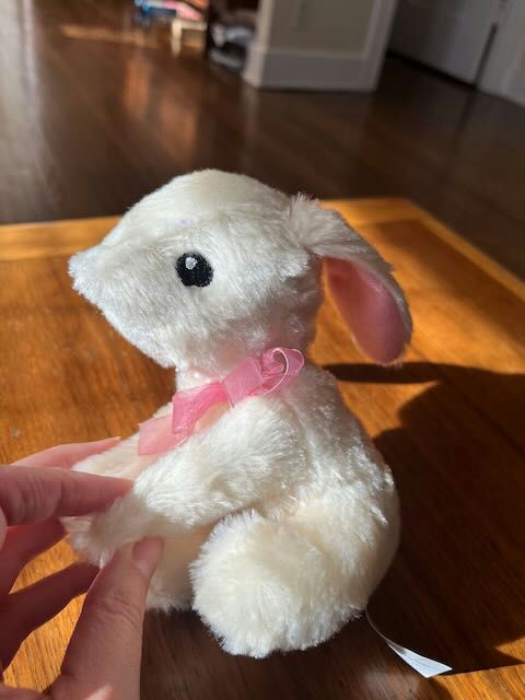 Meet Stuffy: The Adorable White Bunny with a Pink Ribbon