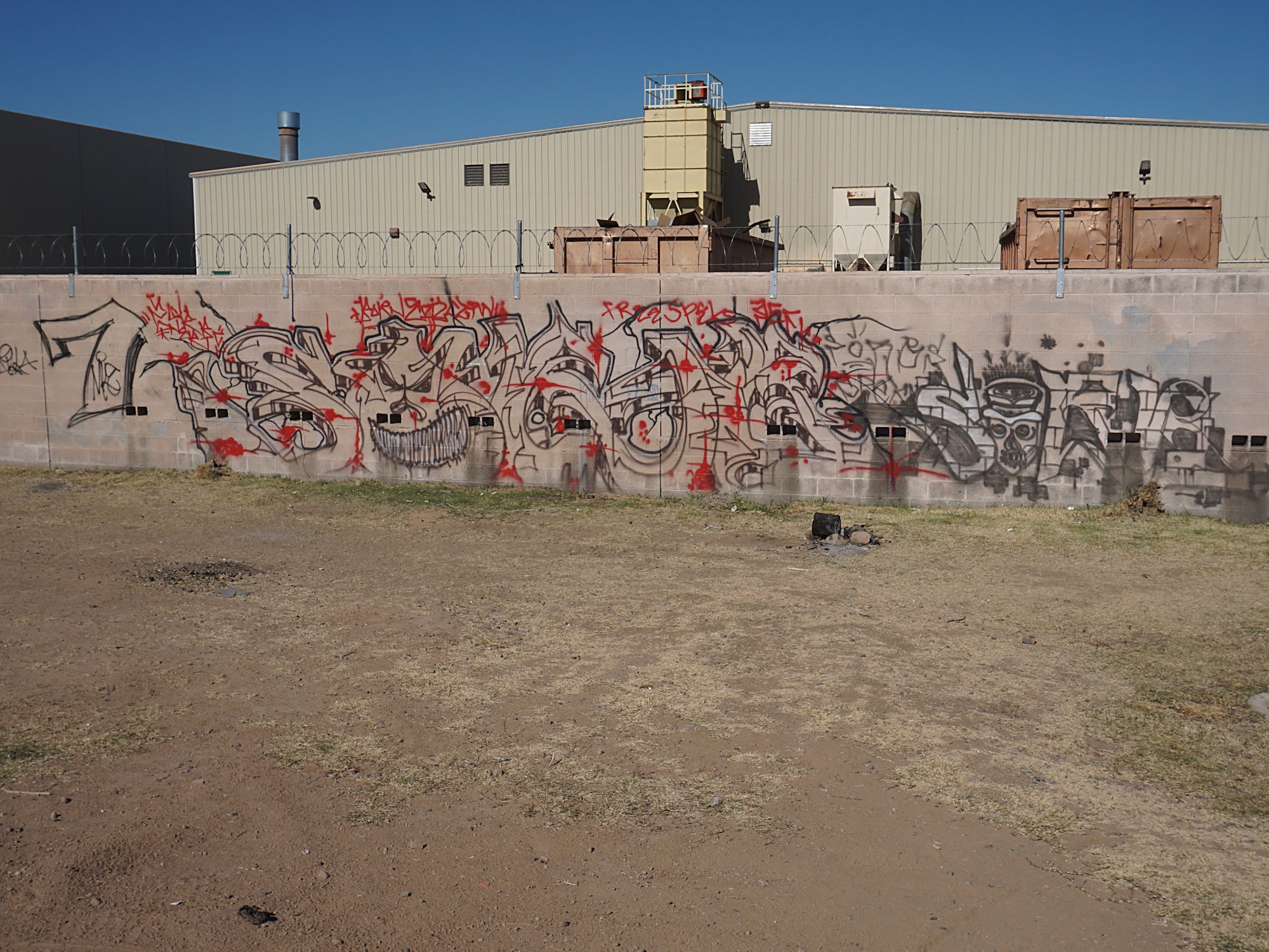 Vibrant Graffiti Along the Grand Canal