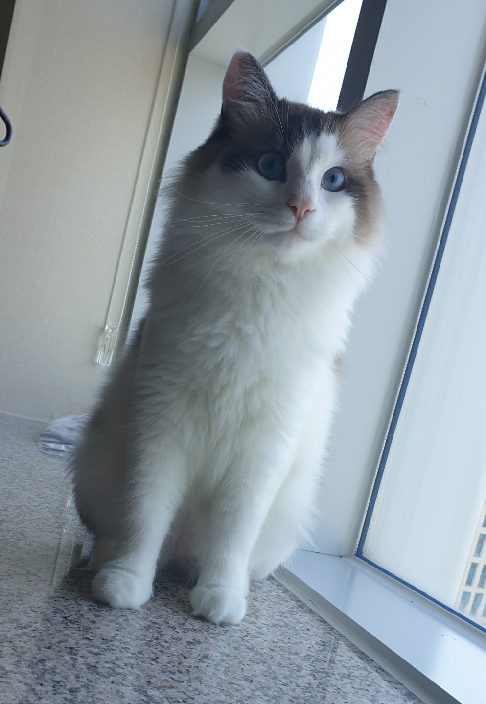 Catty's shocked face says it all