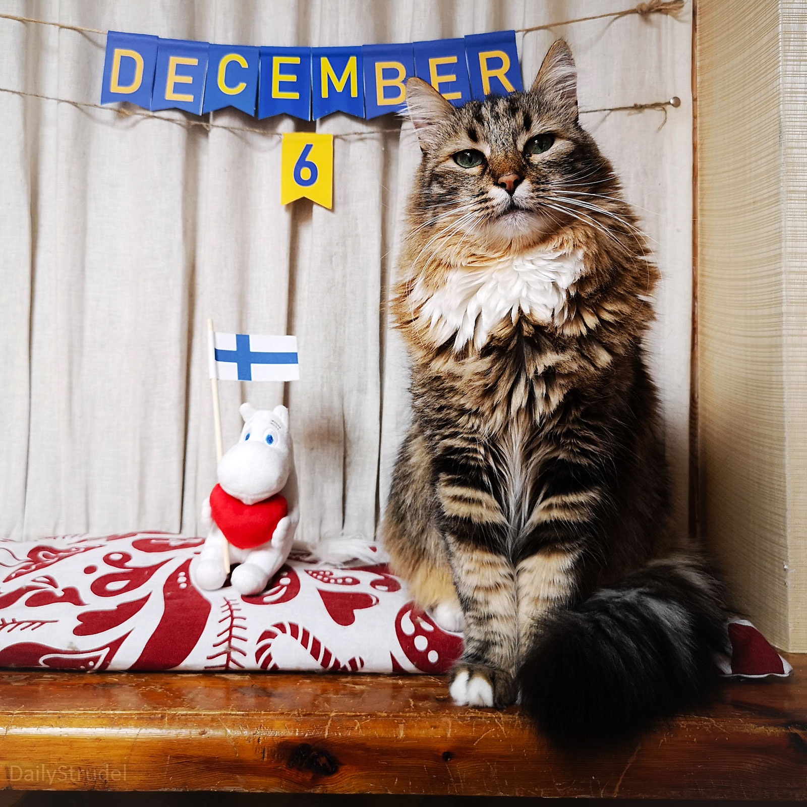 Mark Your Calendars for December 6: A Day to Remember