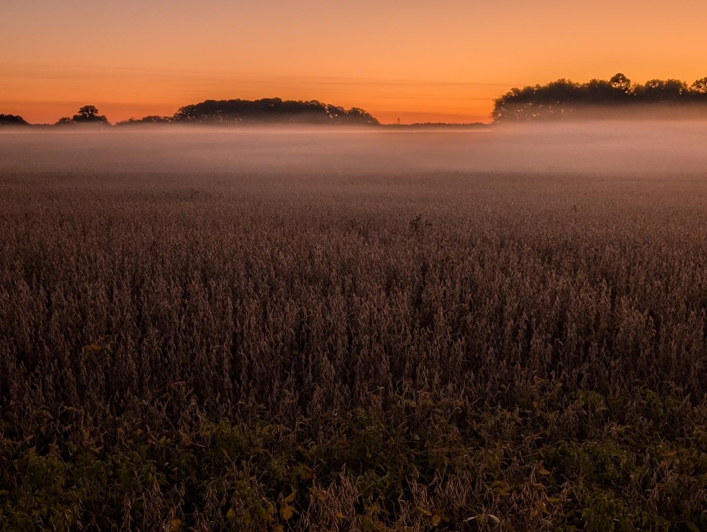 If you have to be awake, you might as well make the most of it...
