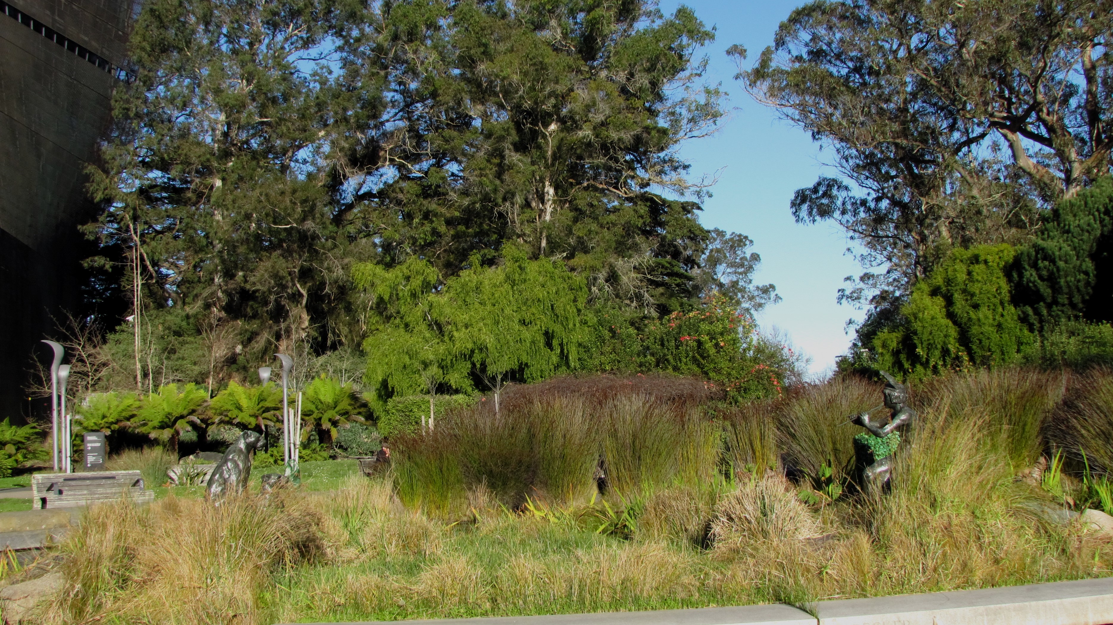 A Day at the Beautiful Golden Gate Park