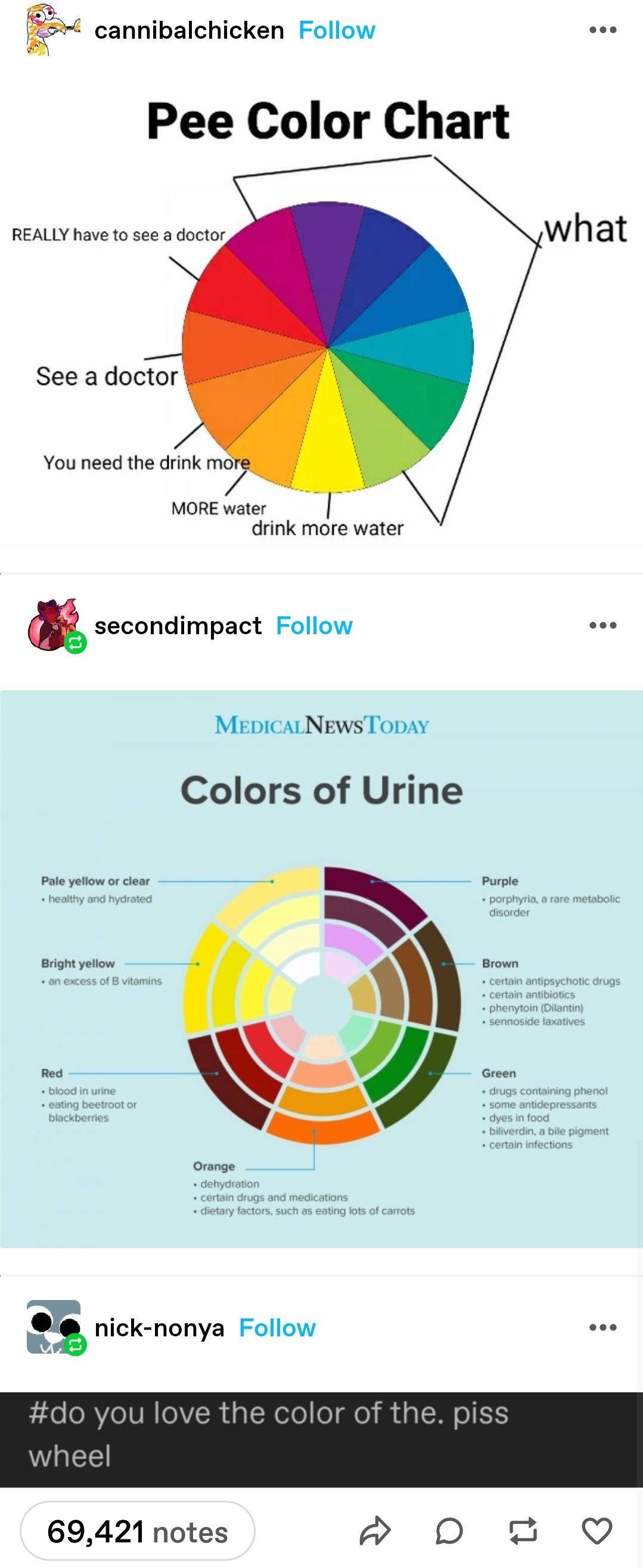 Understanding Your Pee: The Color Chart Guide