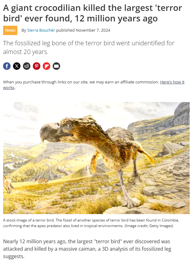Diving into the World of Paleontology