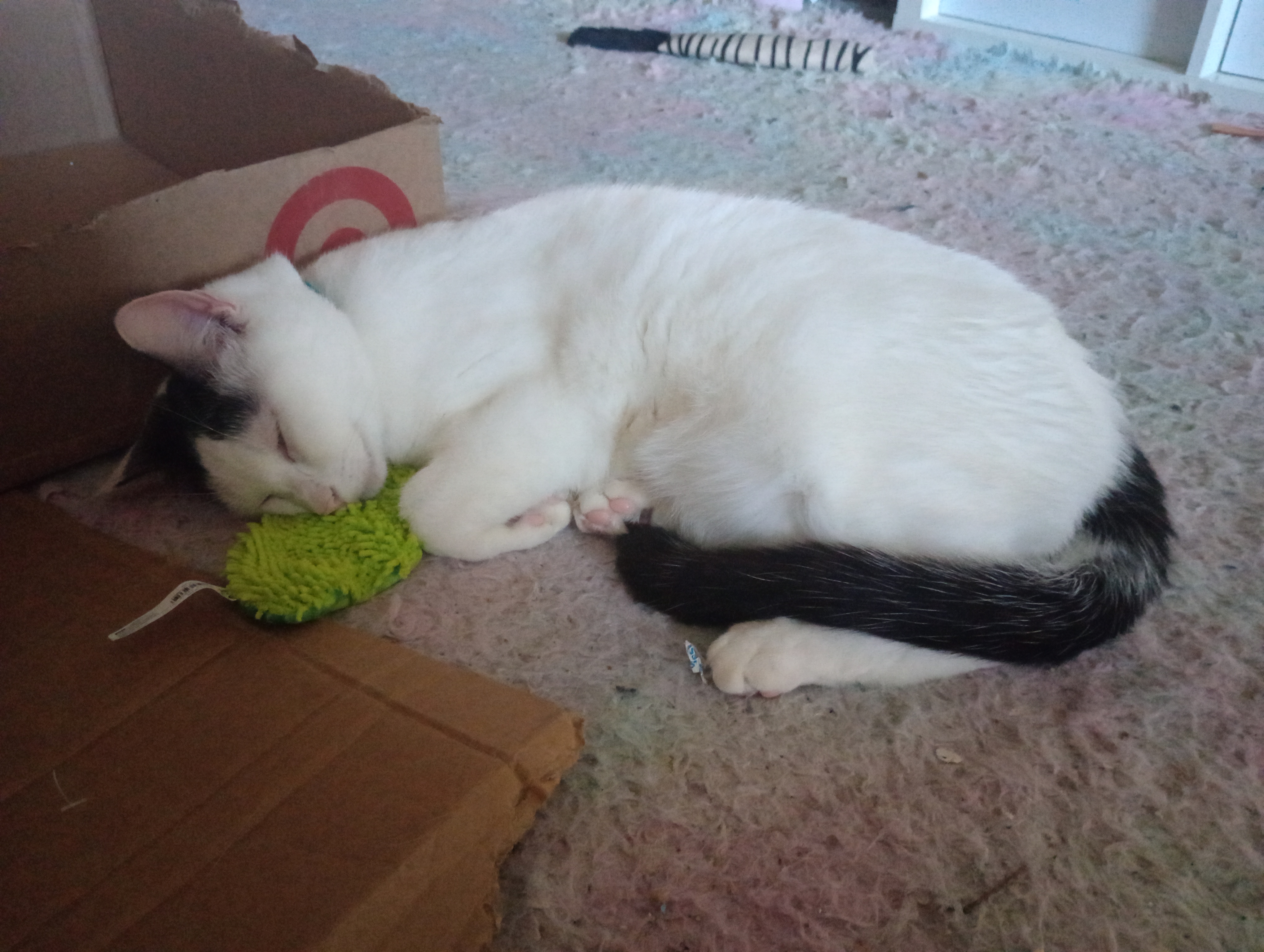 Day 10 of Eggothy Thomas Noodlebert's Adventures