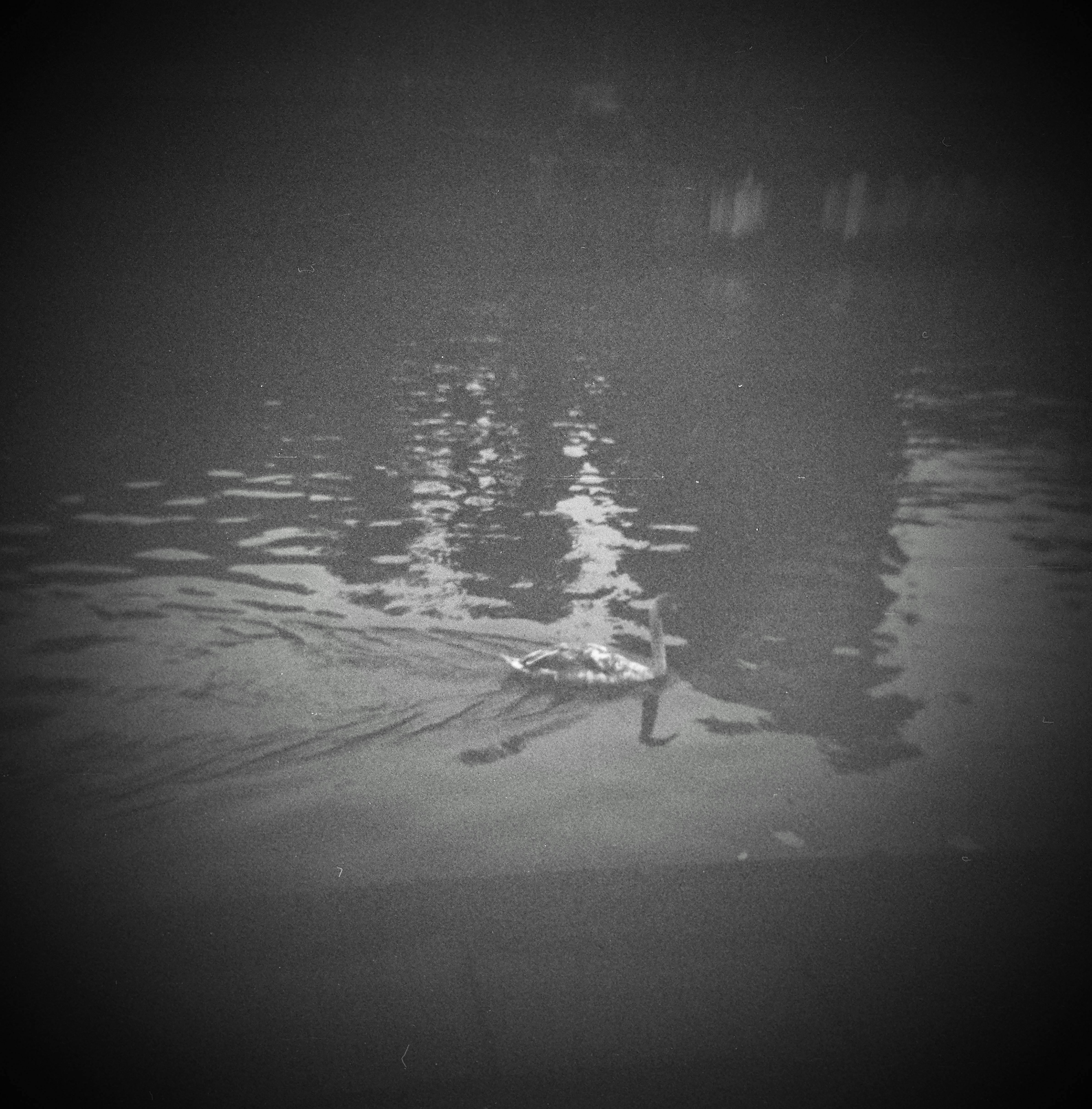 Charming Goose Vignette by the River Aire in Leeds