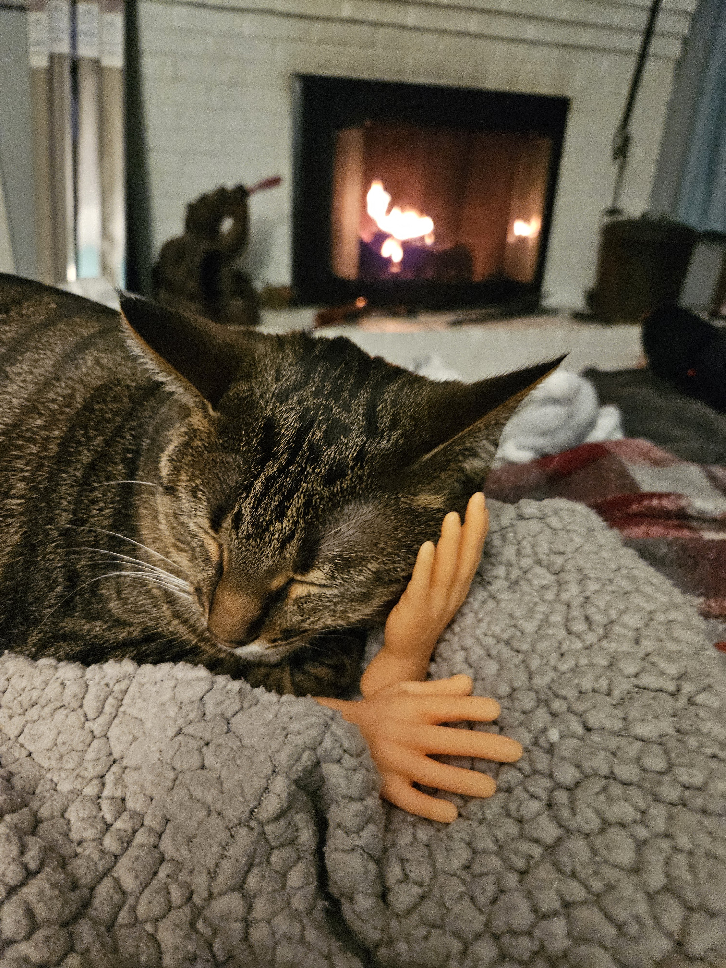 Mama's peaceful slumber with the cutest cat