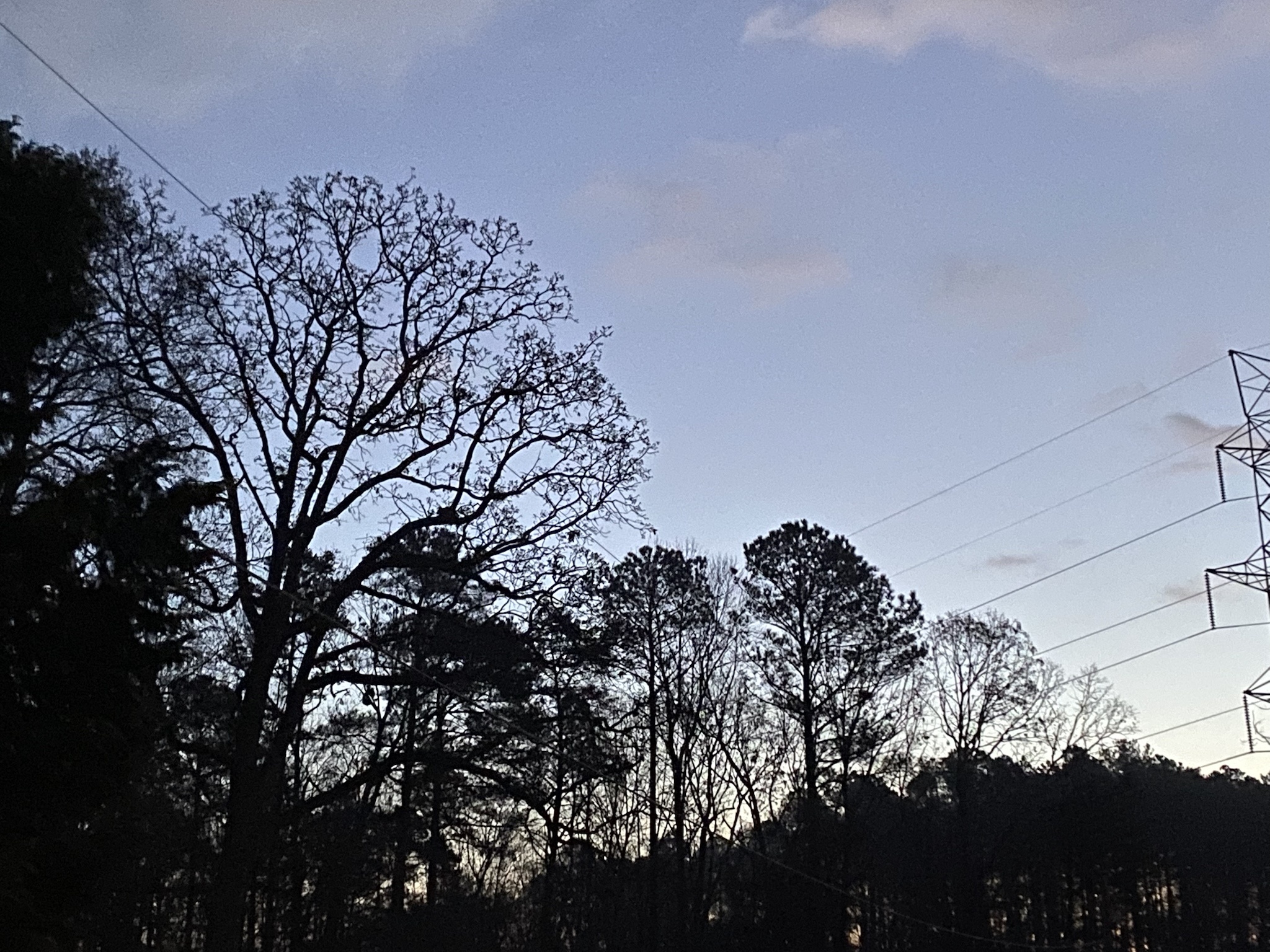 Wishing you a bright and cheerful morning!