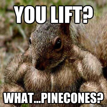 Waking Up to a World Where Acorns Reign Supreme!
