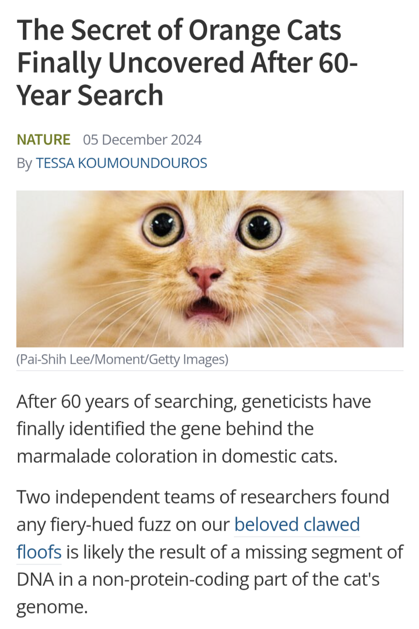 They're Not Just Smart, They're Adorably Magnificent!
