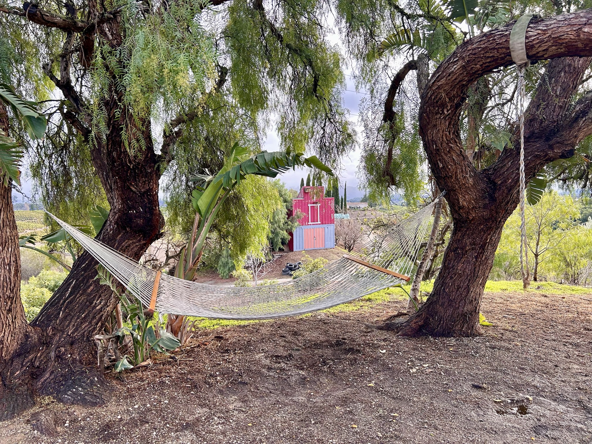 Hammock or Rope? Definitely go for the hammock!