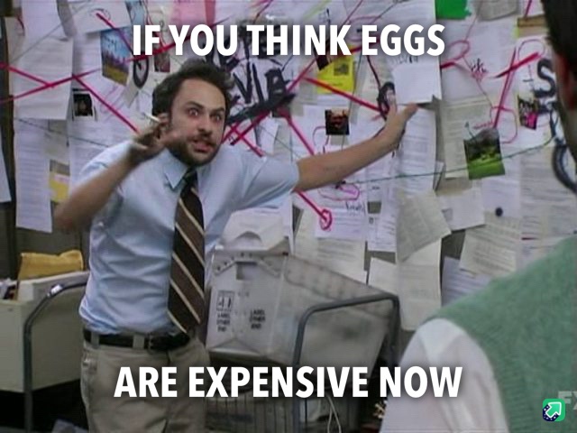 The shocking price of eggs these days