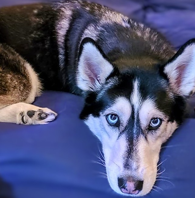 That Look: Simply Irresistible!