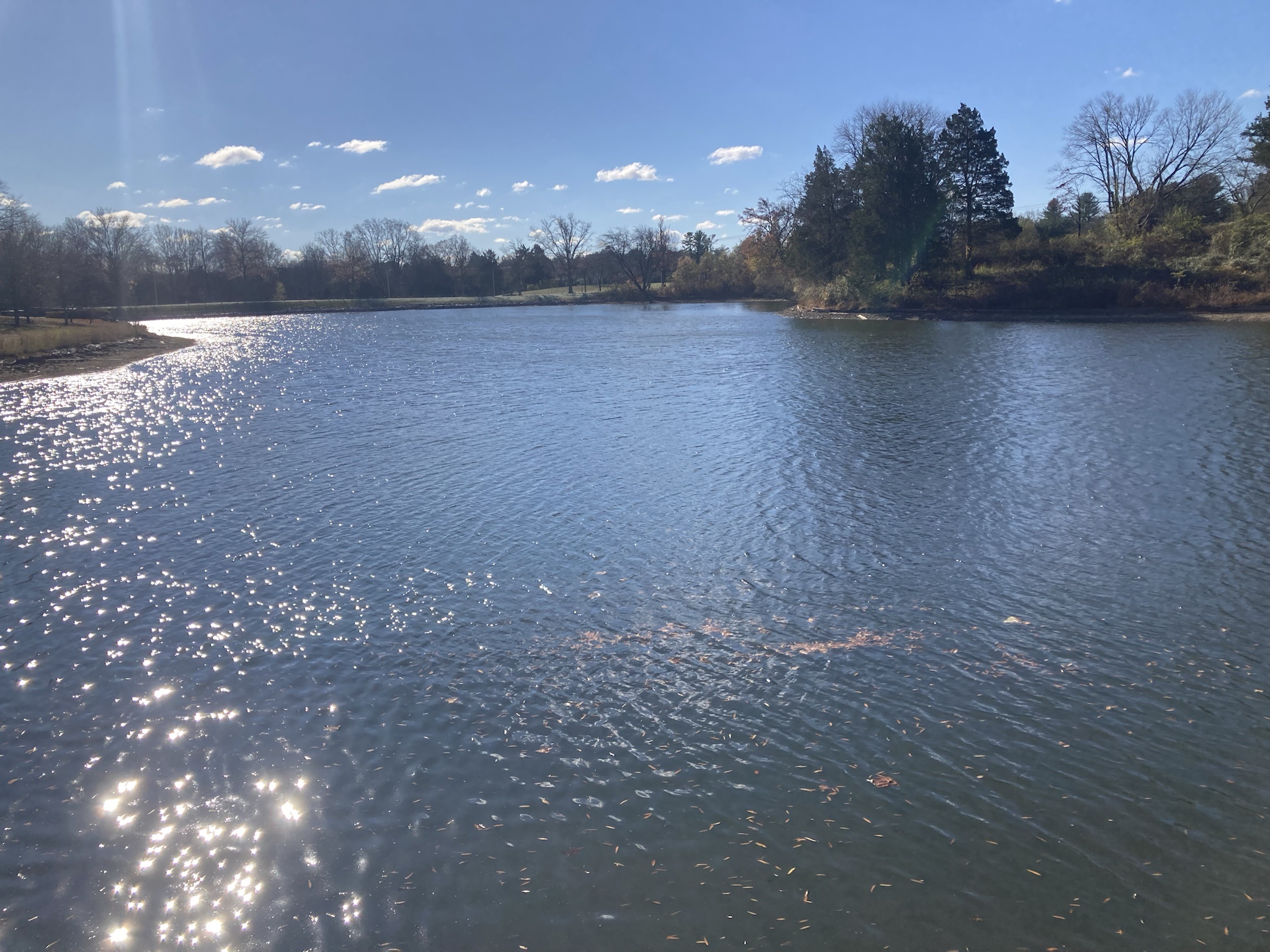 A Serene Escape by the Lake