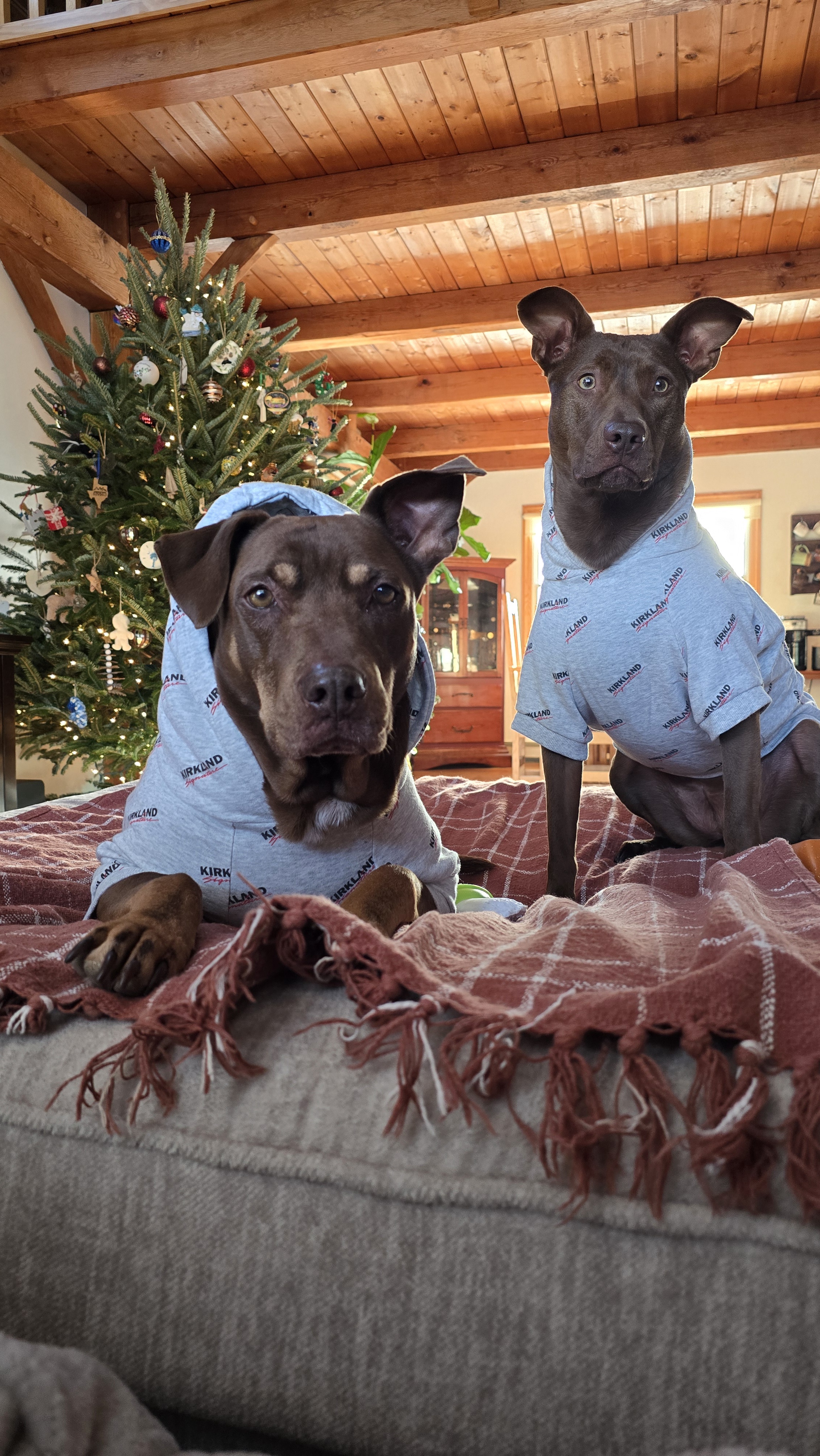Celebrating Happy Honda Days in Festive Christmas Gear