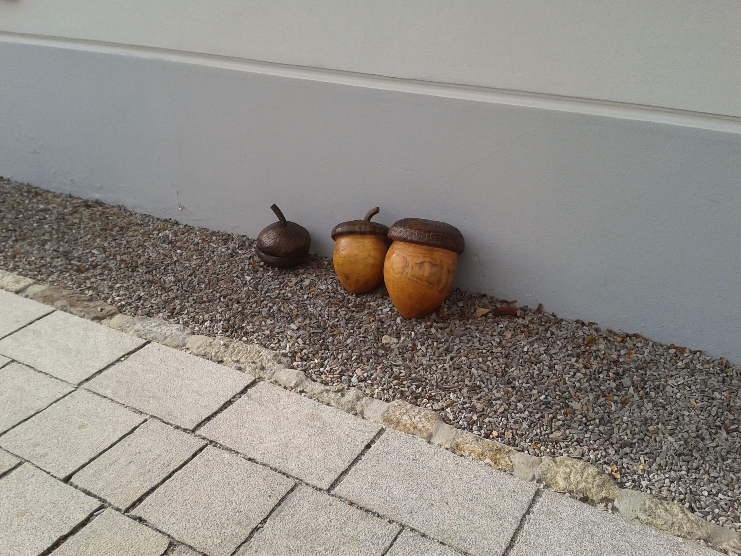 Acorn Squad: Level Up!