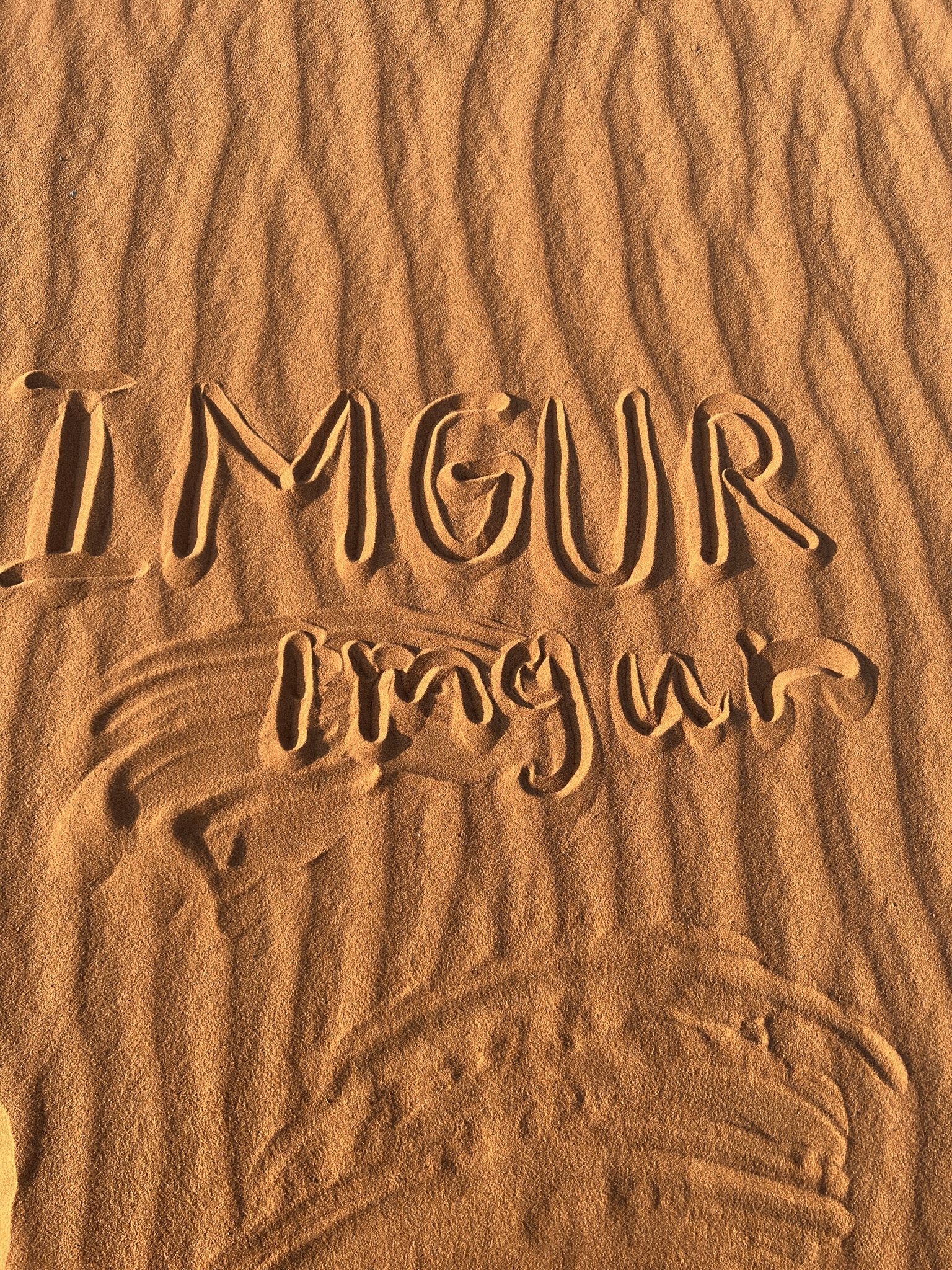 Imgur's Legacy on the Golden Sands