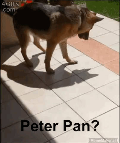 The Adventures of Dog Peter Pan