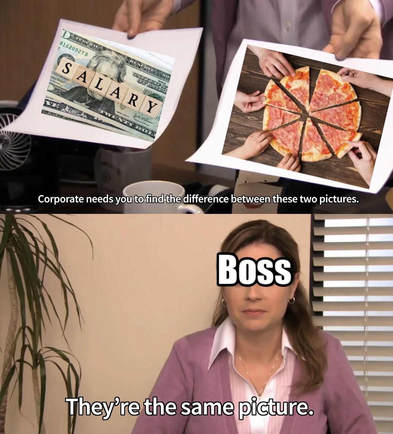 Absolutely, They Are!