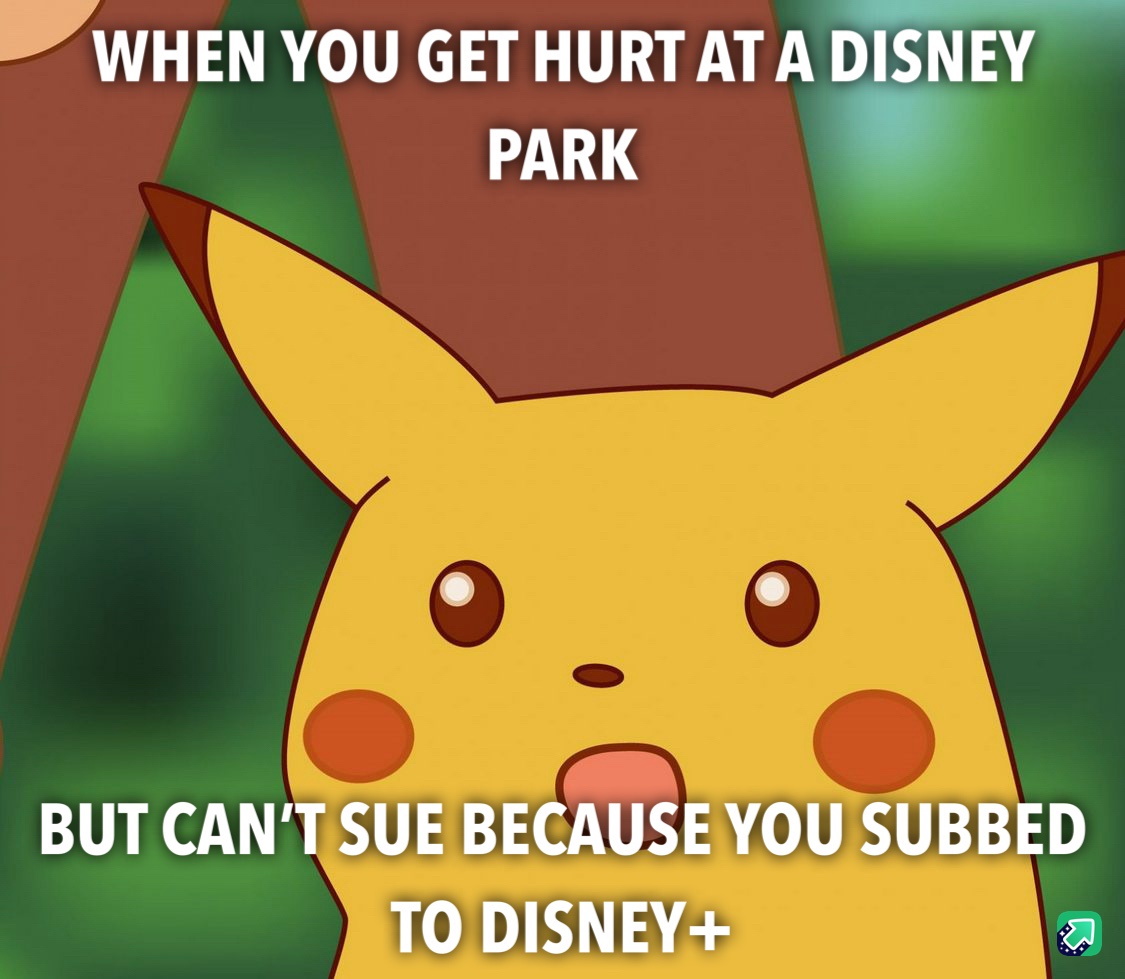 My Passion Runs Deep: I Bleed for Disney!