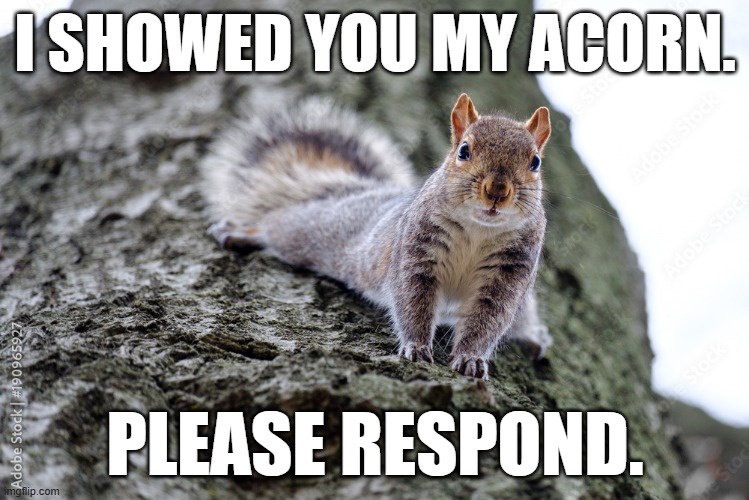Checked Imgur and got bombarded by snowballs. Long live the Acorns!