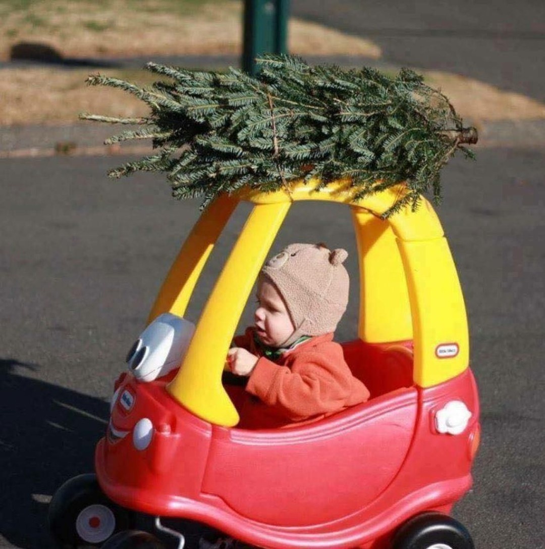 Massive Christmas photo dump: Clearing my overloaded phone