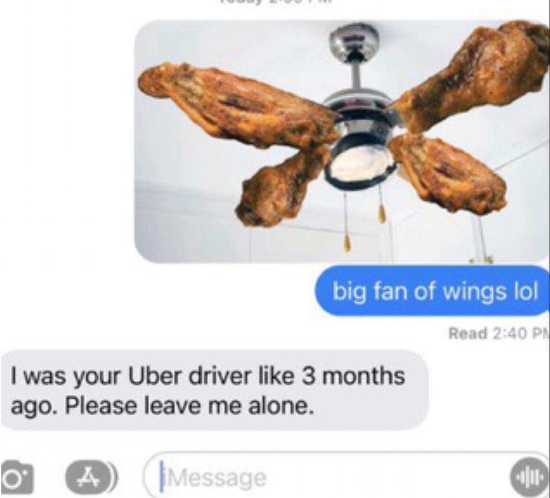 A Big Fan of Wings: Celebrating the Flavors