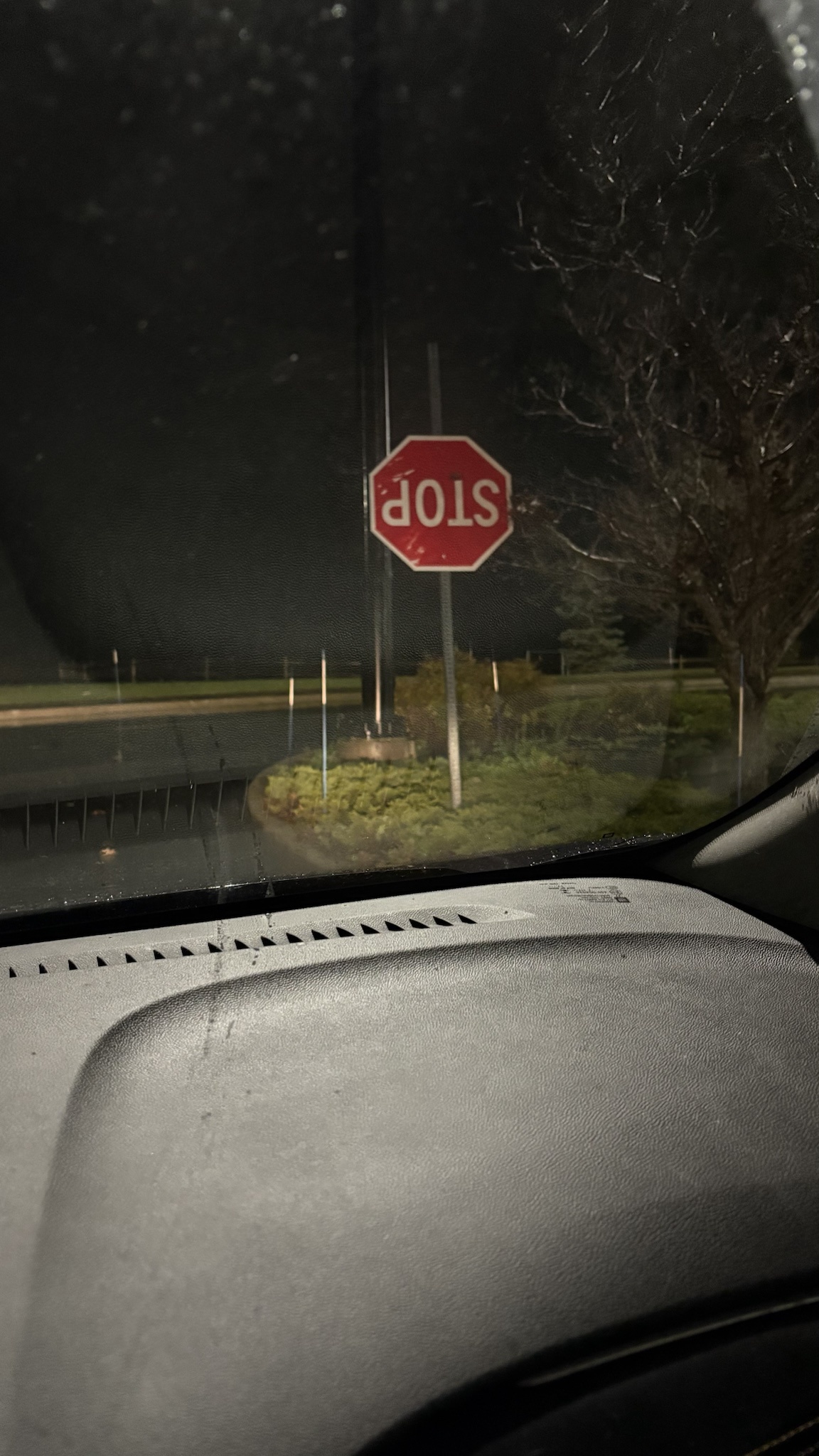 What are doLs?
