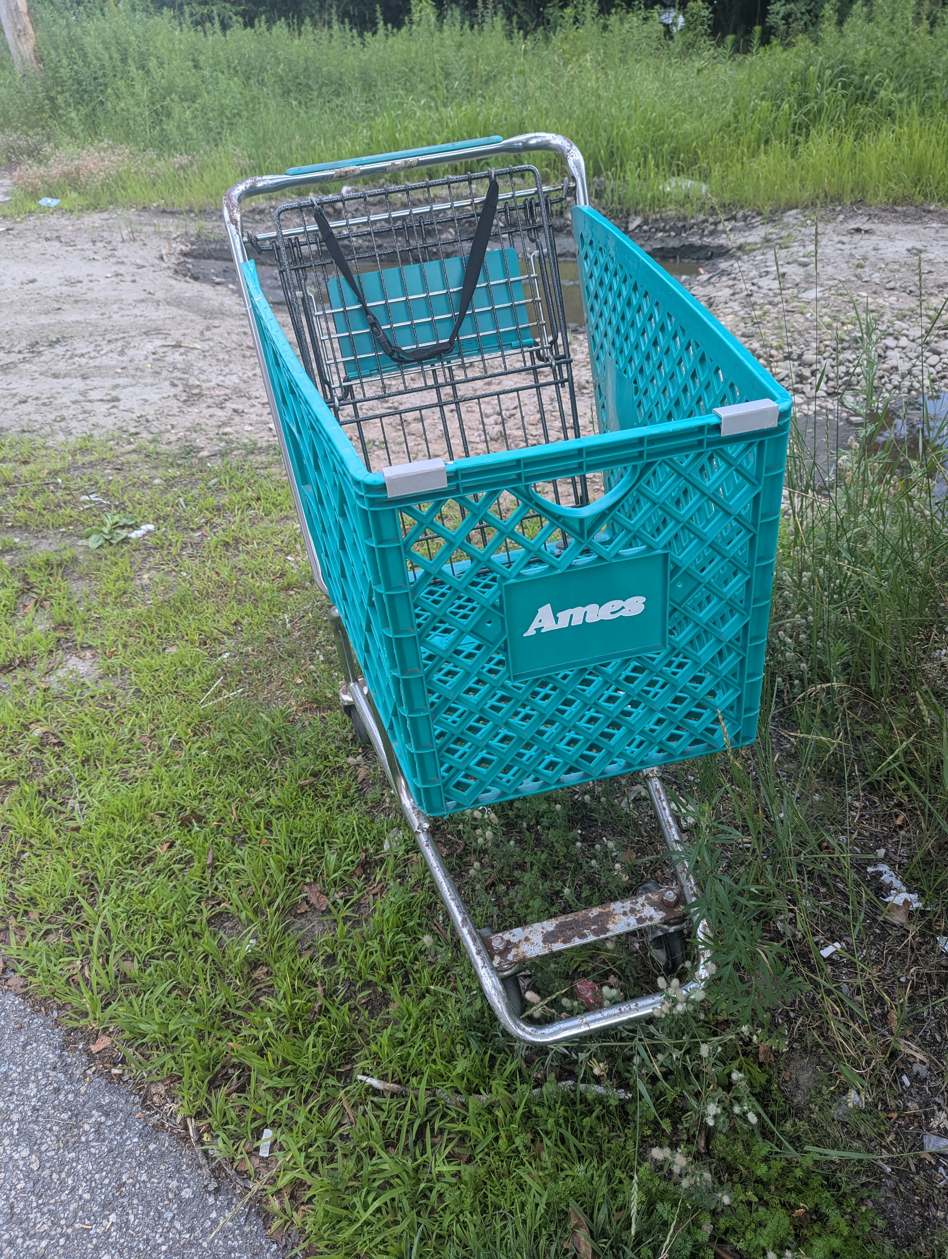 A Glimpse into the Past: Vintage Shopping Cart from the 1900s