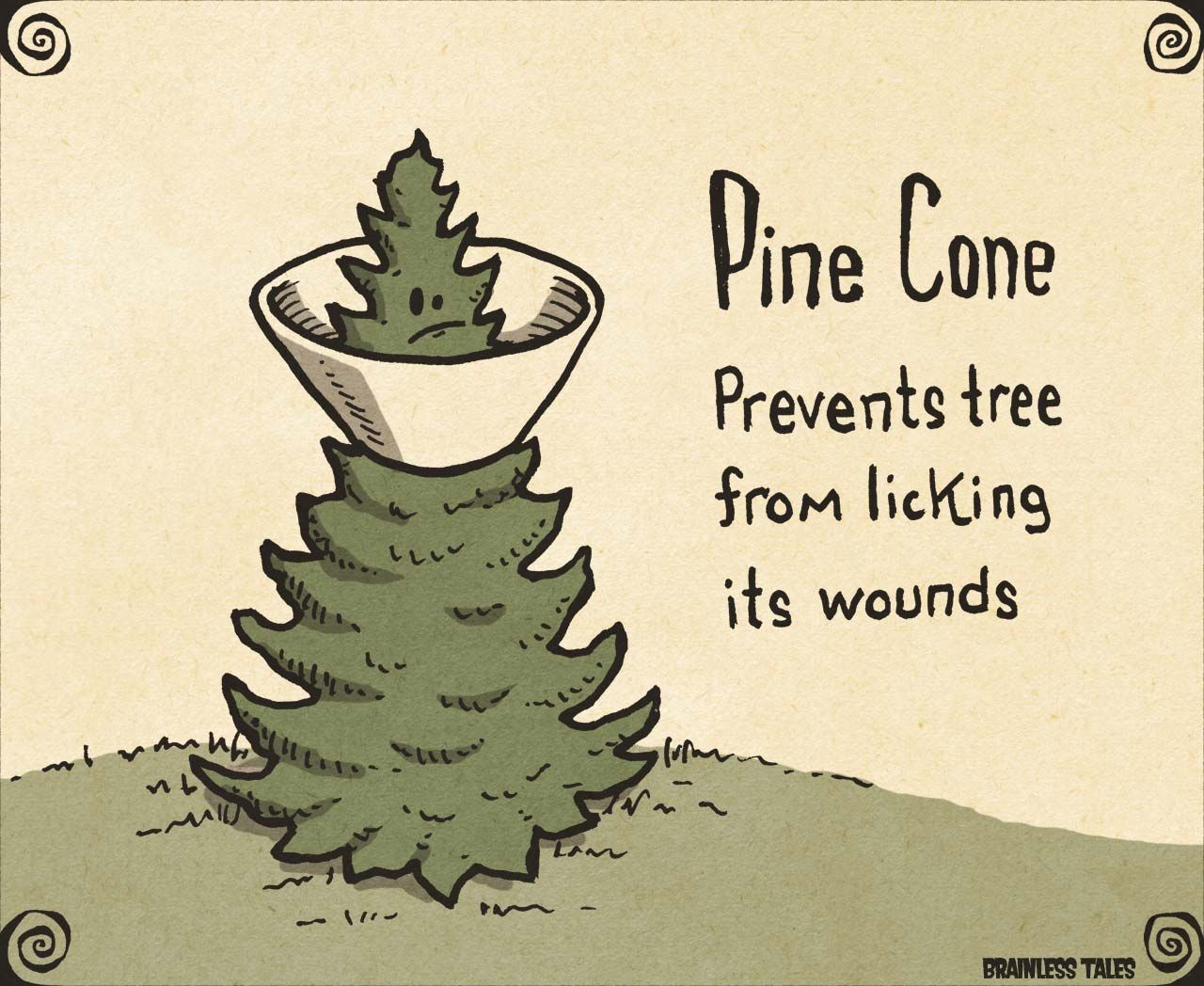 Offering a Pinecone as a Gesture of Support in Tough Times